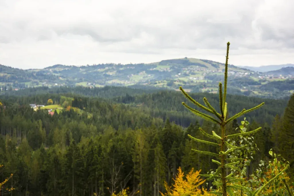Zalesione pasma górskie i wsie na stokach w pochmurny jesienny dzień