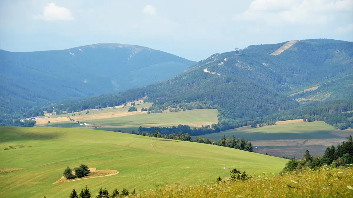 Dolní Morava Bike Park: zalesione stoki ze Ścieżką w Obłokach na grzbiecie, widok latem z łąk