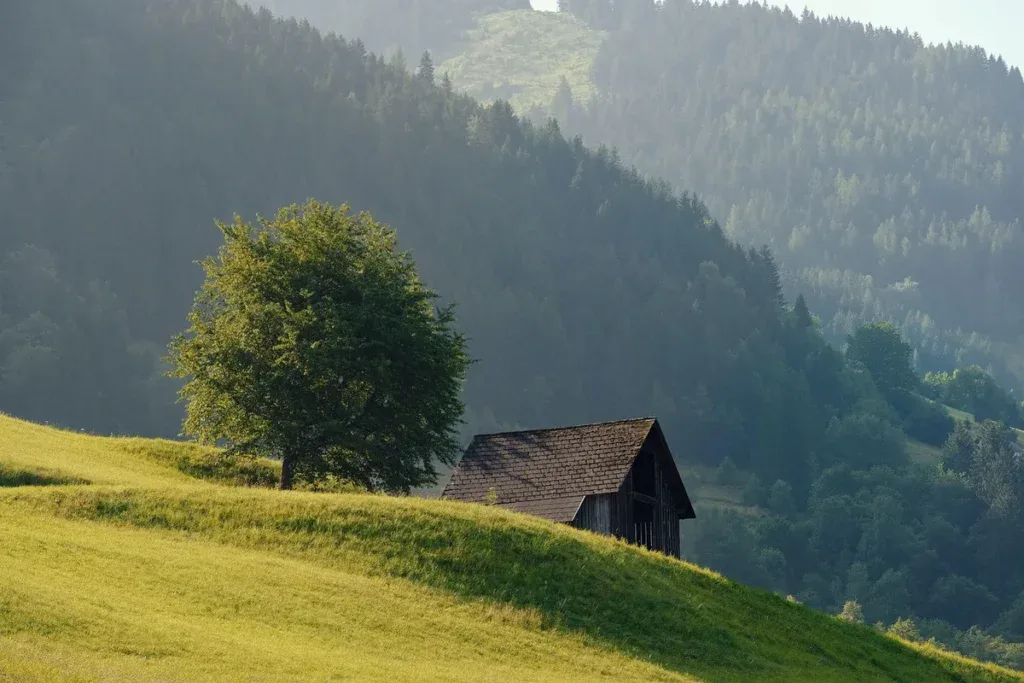 Górska łąka z drewnianą chatą na tle zalesionych zboczy
