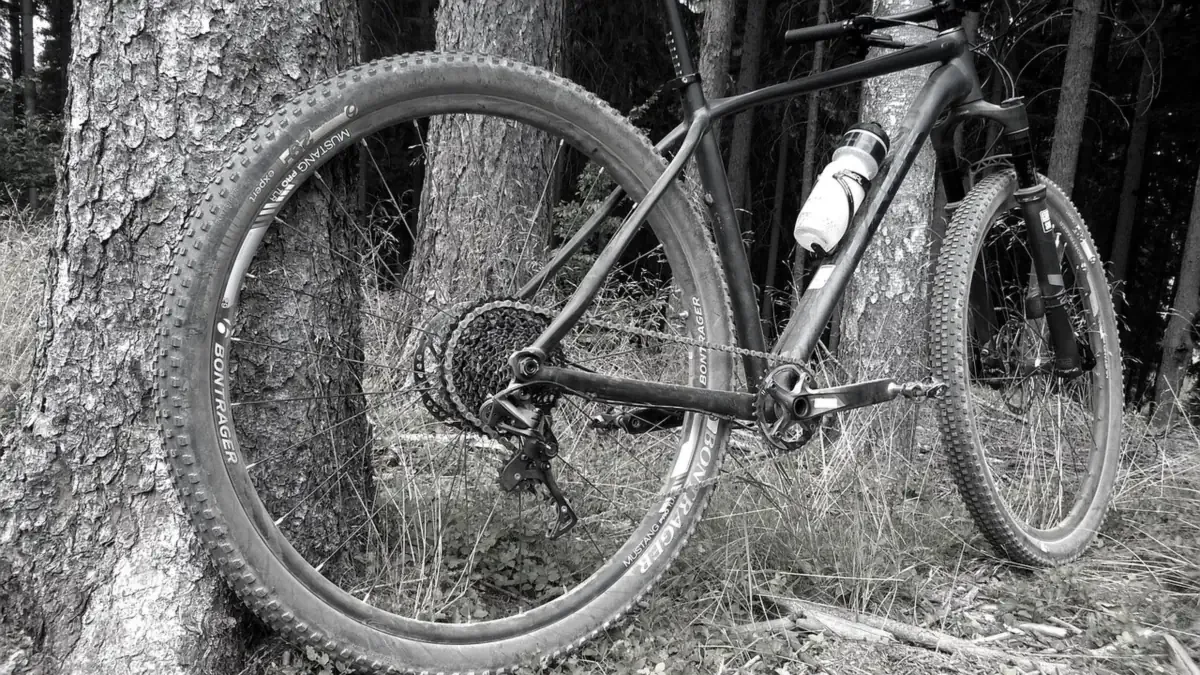 Rower MTB oparty o drzewo przy leśnym singletracku w Świeradowie-Zdroju