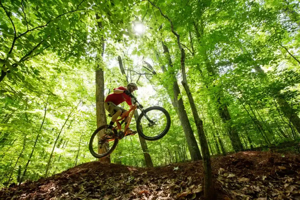 Rowerzysta MTB odrywa oba koła od ziemi na garbie leśnej trasy